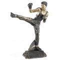 Immagine di TROFEO PREMIO BOXING - Art. 52558