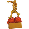 Immagine di TROFEO BOXING - Art. RF9001