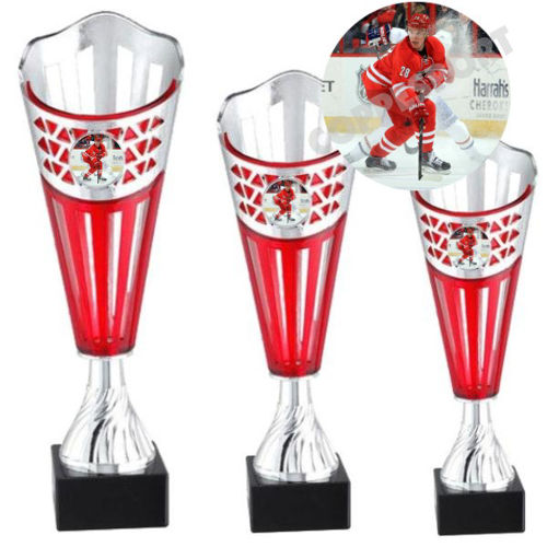 Immagine di TROFEO HOCKEY Art. EL_518 - SERIE 3 PEZZI