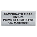 Immagine di ETICHETTA ADESIVA SILVER mm. 50 x 23