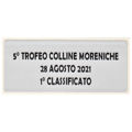 Immagine di ETICHETTA ADESIVA SILVER mm. 60 x 25