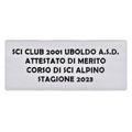 Immagine di ETICHETTA ADESIVA SILVER mm. 60 x 25