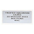 Immagine di ETICHETTA ADESIVA SILVER mm. 60 x 25