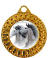 Immagine di MEDAGLIA IPPICA Ø mm. 40