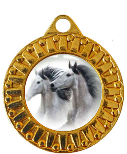 Immagine di MEDAGLIA IPPICA Ø mm. 40