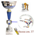 Immagine di PREMIO CALCIO - Art. 0510/S