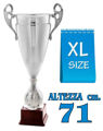 Immagine di SUPER COPPA IN METALLO - Art. 428/X