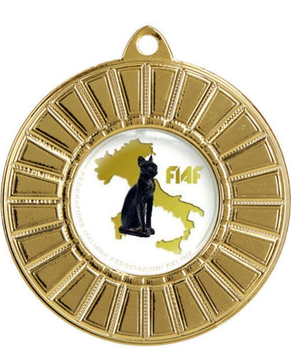 Immagine di MEDAGLIA LOGO F.I.A.F. - diametro mm. 50