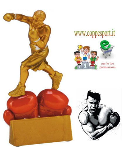 Immagine di TROFEO BOXING - Art. RF9001