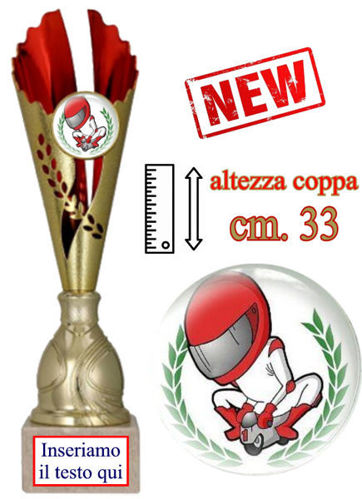 Immagine di PREMIO MINIMOTO - Art. 7246/F