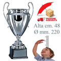 Immagine di COPPA MODELLO CHAMPIONS - Art. 4710