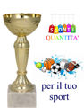 Immagine di COPPA ECONOMICA - Art. NT349A