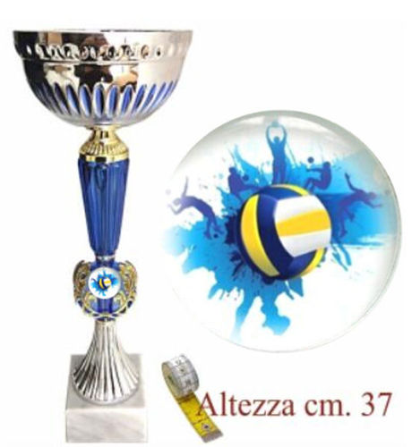 Immagine di PREMIO BEACH VOLLEY - Art. 0510/S