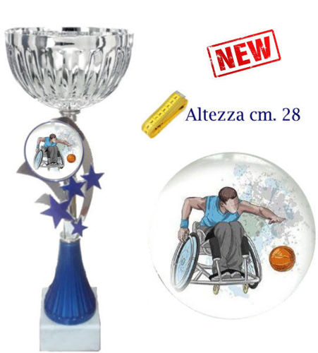 Immagine di PREMIO BASKET DVA - Art. 123/2