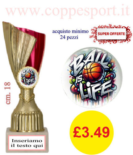 Immagine di PROMO COPPESPORT BASKET - Art. 9221B