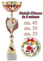 Immagine di FITNESS A NATALE - Art. 1053/X