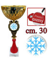 Immagine di COPPA SPORT SULLA NEVE - Art. 452/X