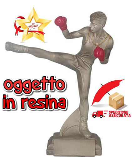 Immagine di TROFEO PREMIO BOXING - Art. 52558