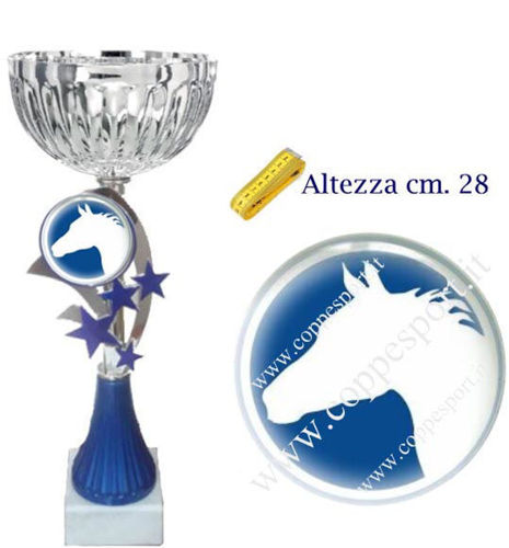 Immagine di PREMIO EQUITAZIONE - Art. 123/2/X