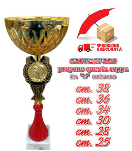 Immagine di COPPA - Art. 452/X