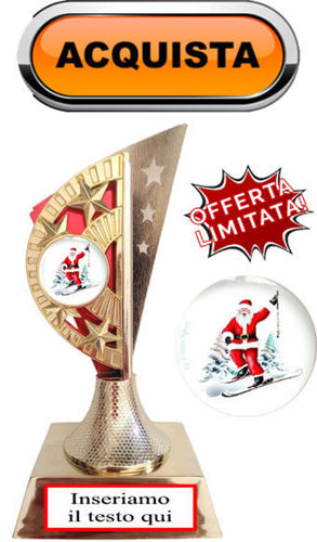 Immagine di PREMIO SPORT INVERNALI - Art. 382R