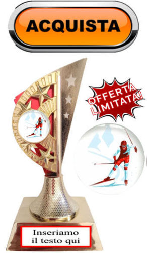 Immagine di PREMIO SPORT INVERNALI- Art. 382R