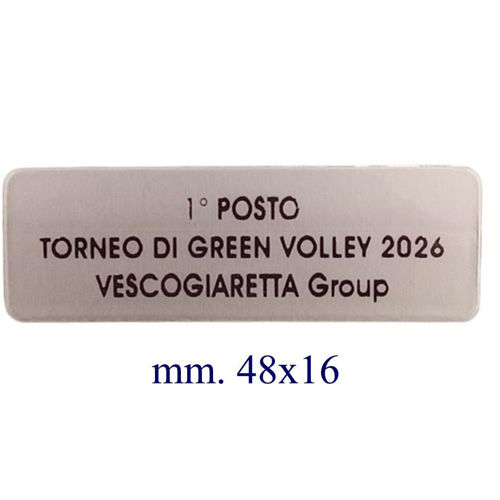 Immagine di ETICHETTA ADESIVA SILVER mm. 48 x 16