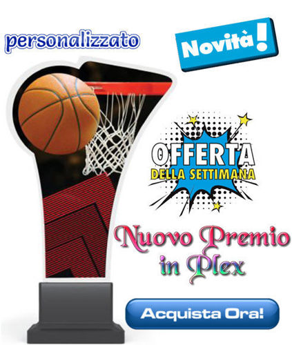 Immagine di PREMIO BASKET - Art. CP02