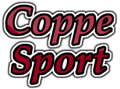 Immagine di PREMIO BASKET - Art. CP02