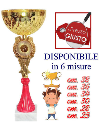 Immagine di COPPA - Art. 452/X